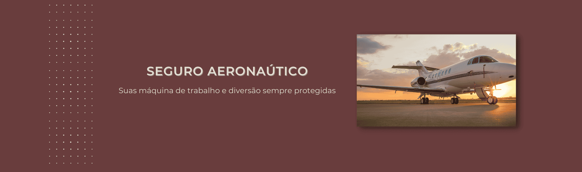 Banner Seguro Aeronautico