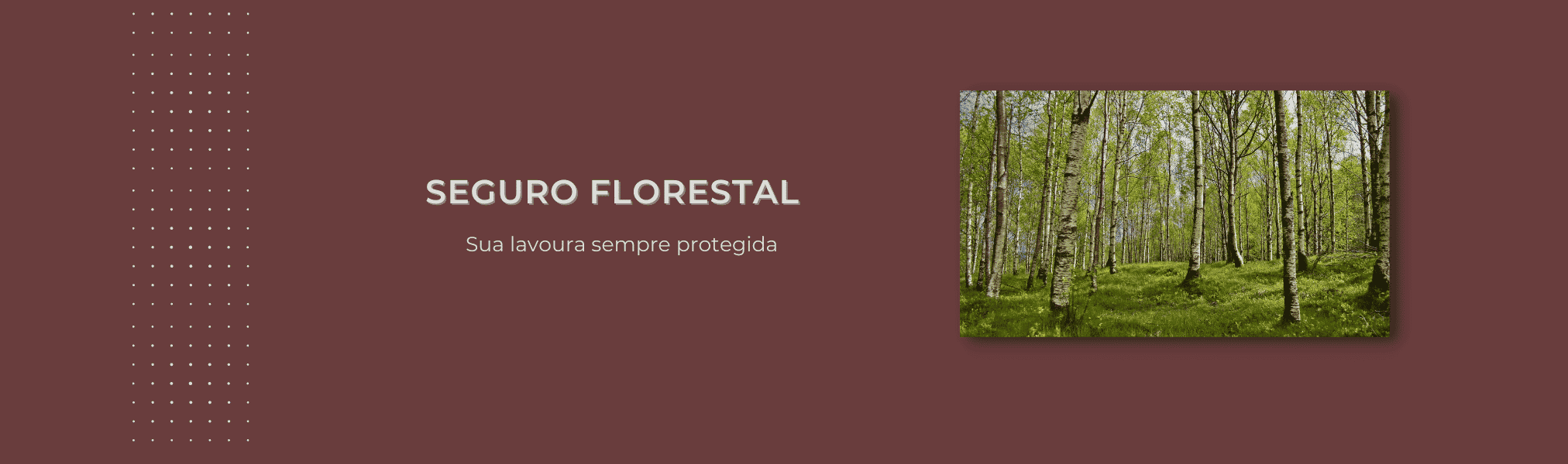 Banner Seguro Florestal