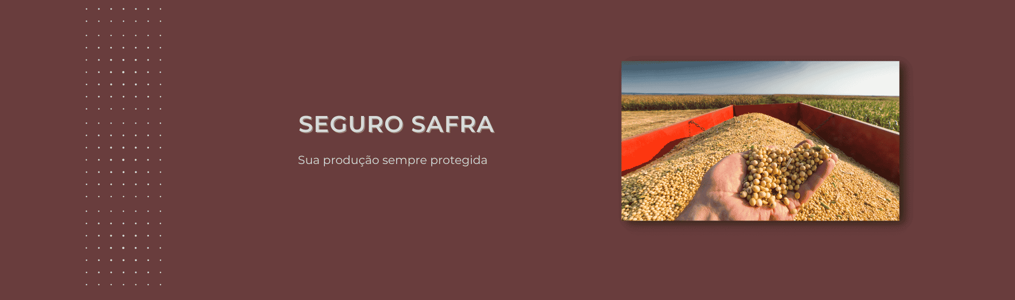 Banner Seguro Safra