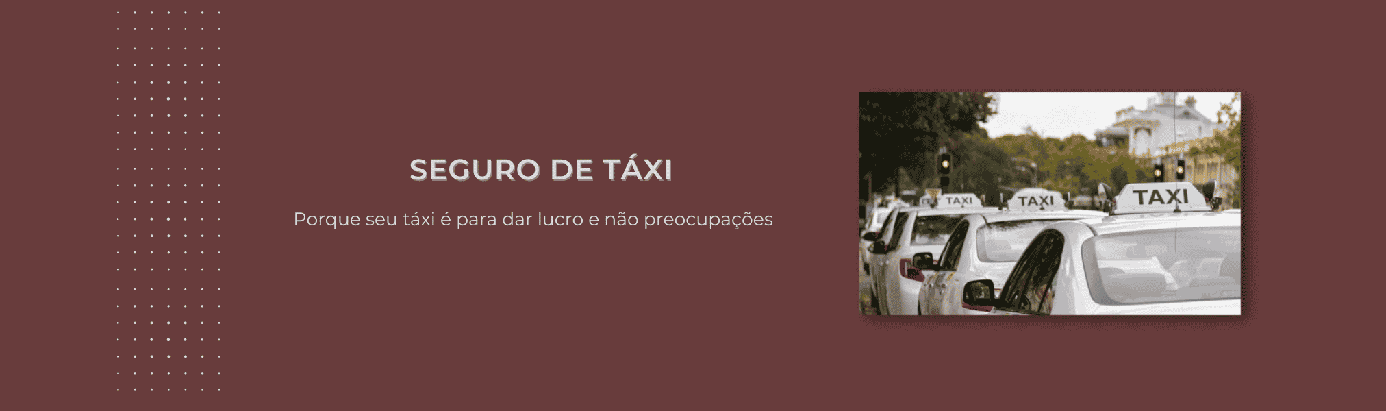 Banner Seguro Taxi